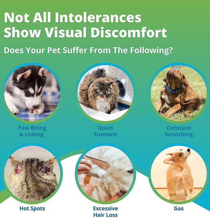 Not all Intolerances show visual discomfort. Does your pet suffer from the following? Paw Biting & Licking, Upset Stomach, Constant Scratching, Hot Spots, Excessive Hair Loss, or Gas