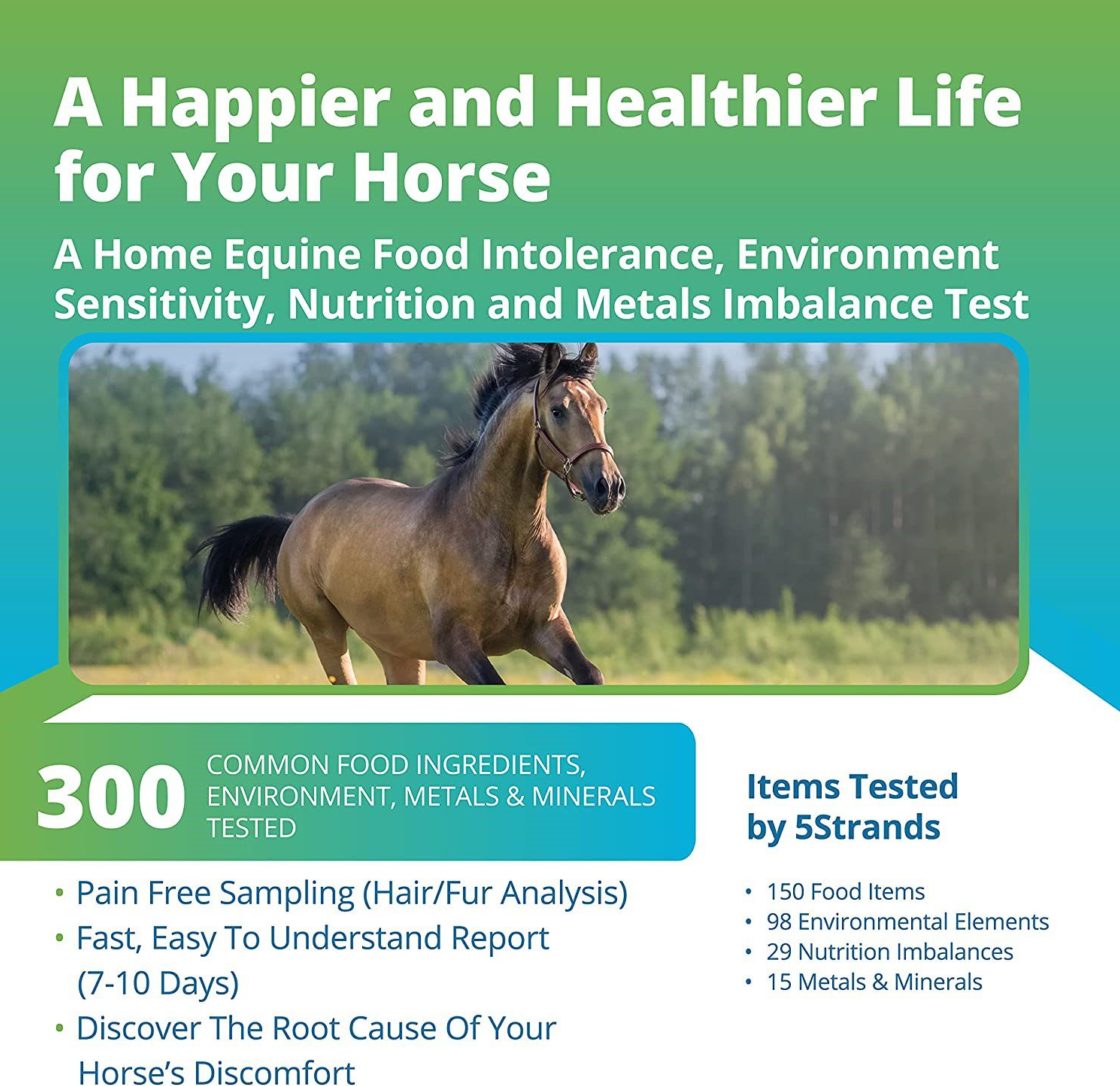 A Happier and Healthier Life for your Horse. A Home Equine Food Intolerance, Environment Sensitivity, Nutrition and metals Imbalance Test. 300 Common Food ingredients, environment, metals and minerals tested. Pain free sampling hair analysis. Fast, East to understand Report. discover the root cause of your Horse's discomfort.